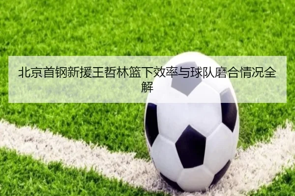 北京首钢新援王哲林篮下效率与球队磨合情况全解